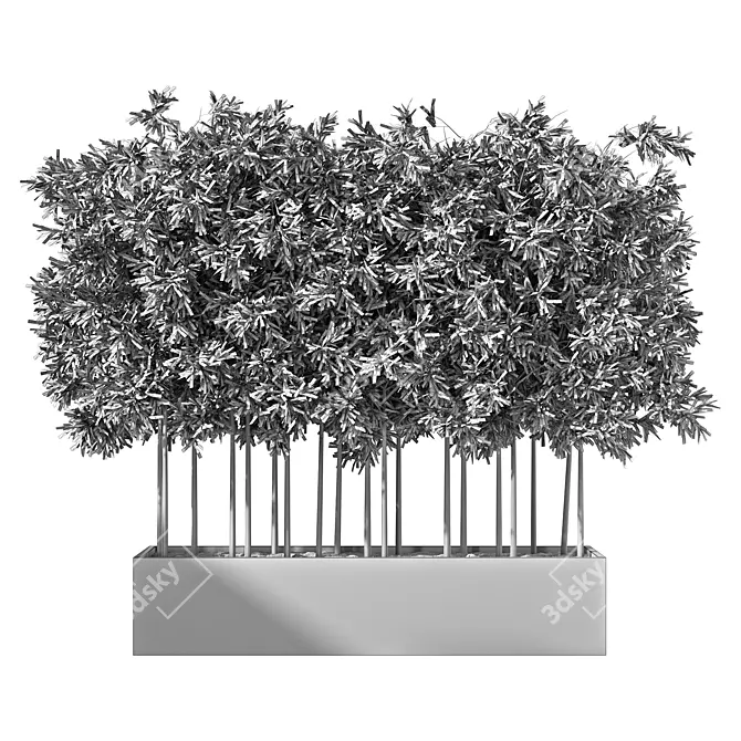Evergreen Outdoor Plant No.60 3D model image 4