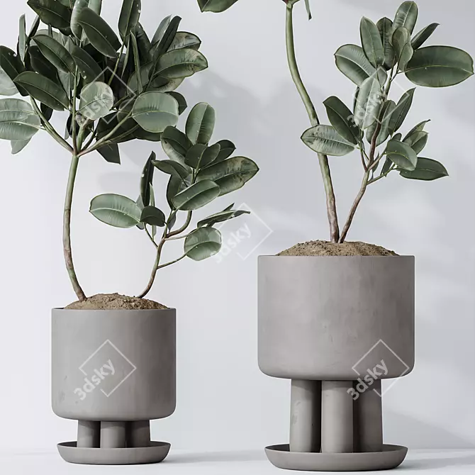 Rubber Ficus 3D Vases Collection 3D model image 5