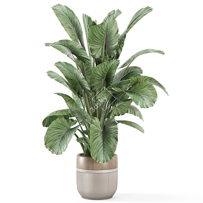 Modern Indoor Plants Set 2015 3D model image 3