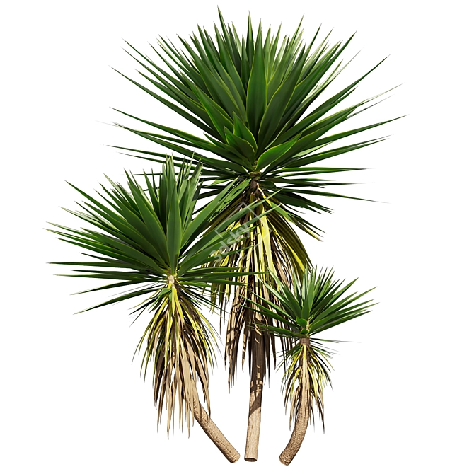 Low-Volume Yucca Palm Asset 3D model image 2