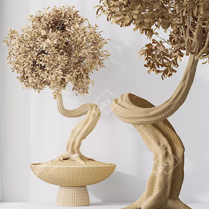 Ginseng Ficus Bonsai Tree Kit 3D model image 5