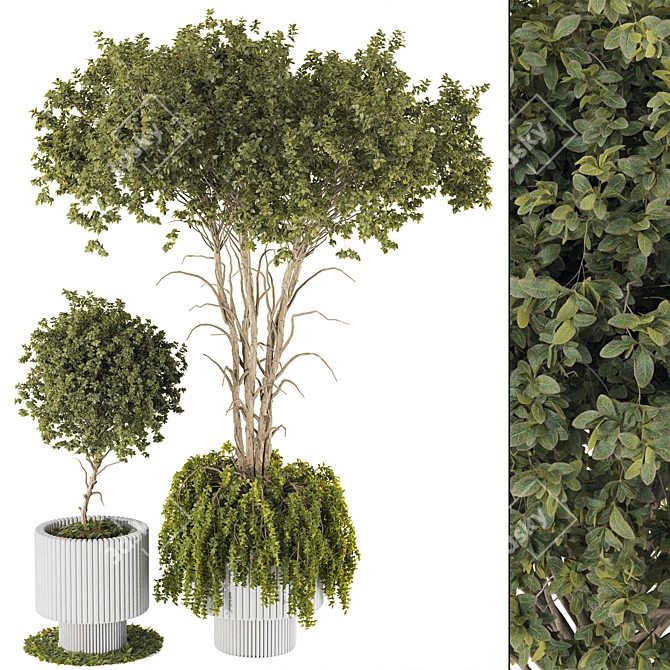 3D Plant Chandelier Decor Bundle 3D model image 1