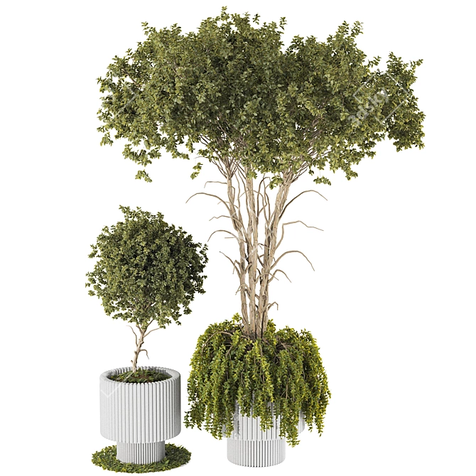 3D Plant Chandelier Decor Bundle 3D model image 2