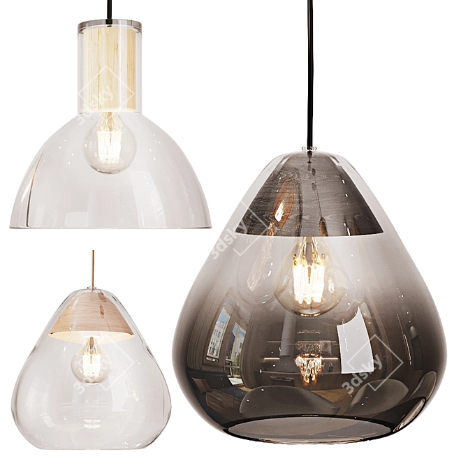 Glass and Wood Nasoa Lamp 3D model image 1