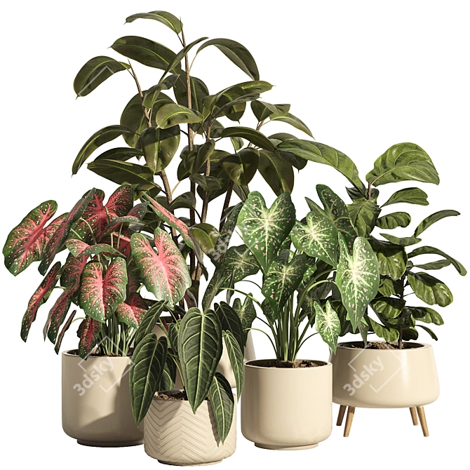 73-Piece Indoor Plant Ceramic Pot 3D model image 1