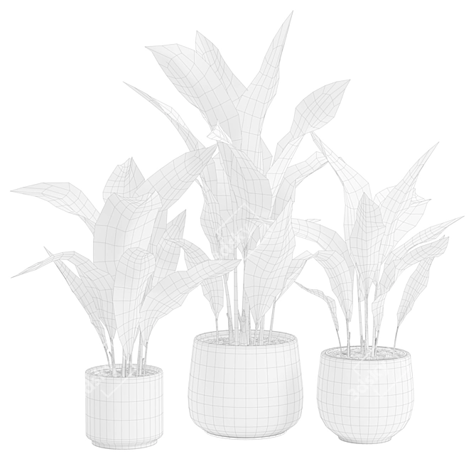 Glossy Cast Iron Plant Pack 3D model image 3