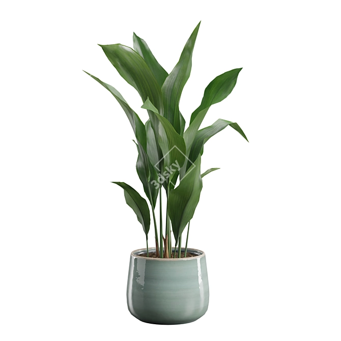 Glossy Cast Iron Plant Pack 3D model image 4