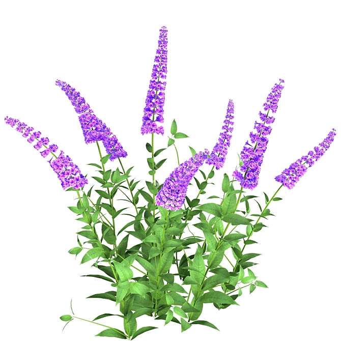 Enchanting Blue Butterfly Bush Set 3D model image 4