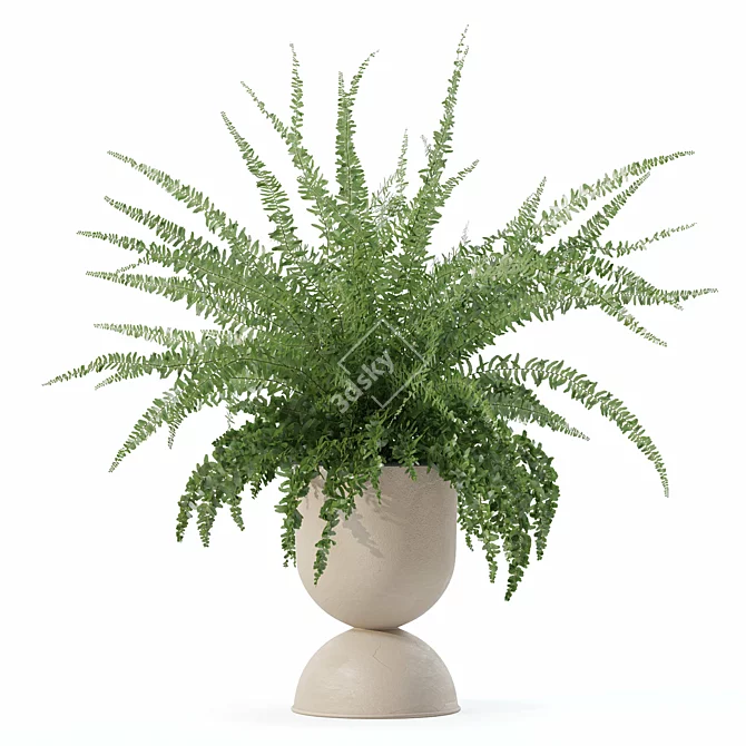 Modern Fern Plant Pot Beauty 3D model image 2