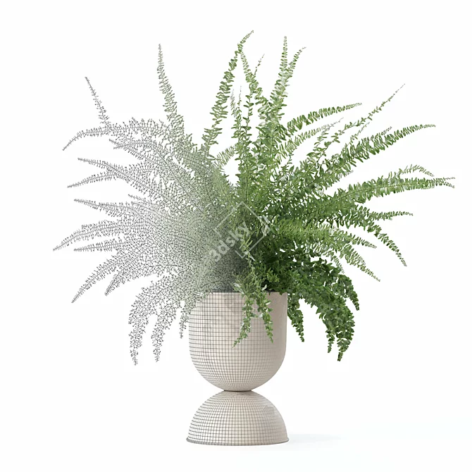 Modern Fern Plant Pot Beauty 3D model image 5