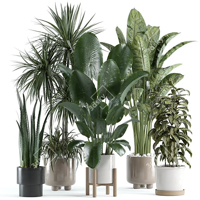 Custom VRay Indoor Plant Model 3D model image 1
