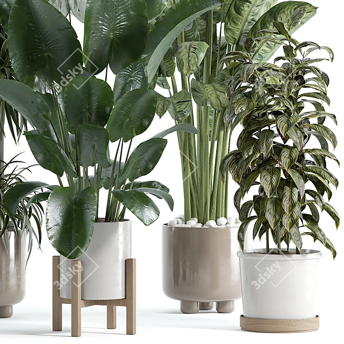 Custom VRay Indoor Plant Model 3D model image 2