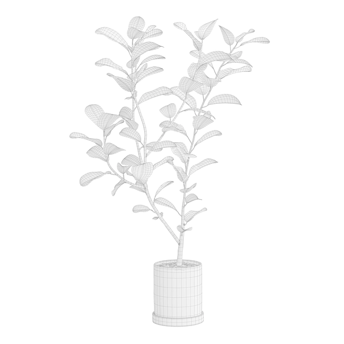 Impressive Ficus Audrey Banyan Tree 3D model image 6