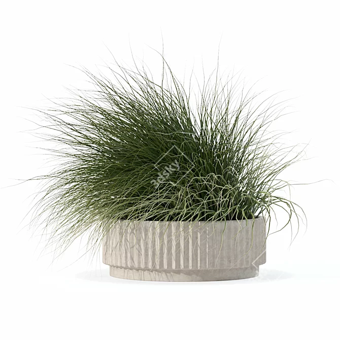 Eclectic Grass Collection 3D Model 3D model image 2