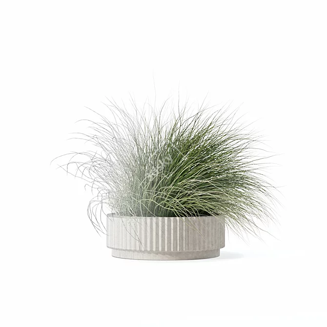 Eclectic Grass Collection 3D Model 3D model image 4