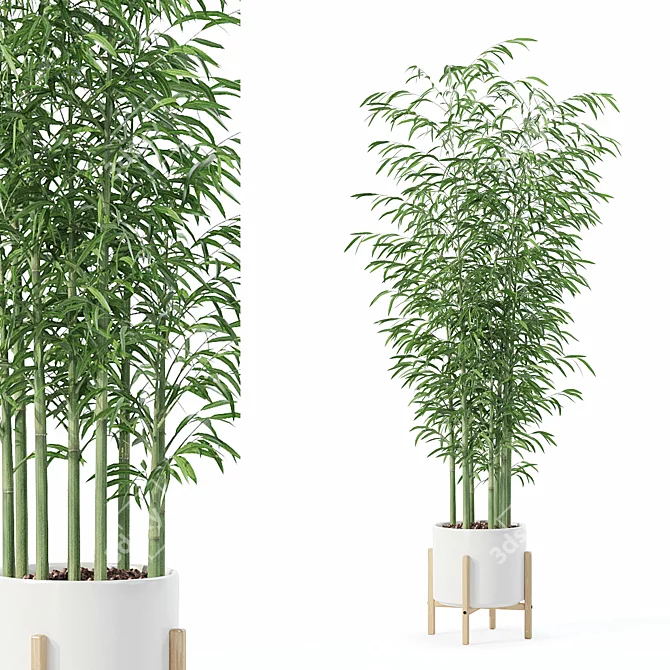 Bamboo Plants Collection 3D Model 3D model image 1