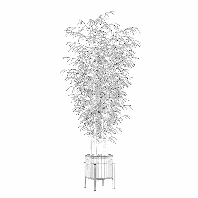 Bamboo Plants Collection 3D Model 3D model image 2