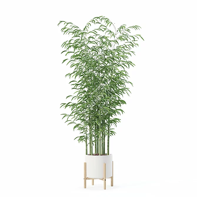 Bamboo Plants Collection 3D Model 3D model image 4