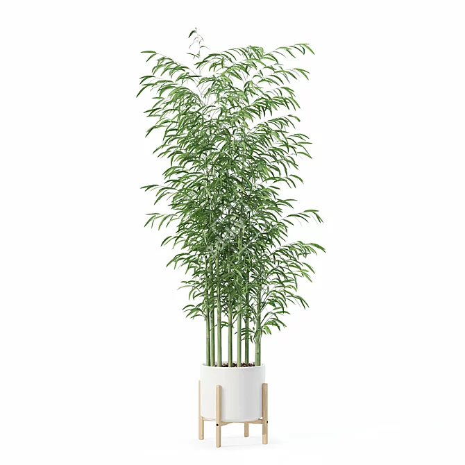 Bamboo Plants Collection 3D Model 3D model image 5