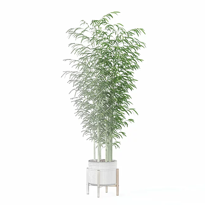 Bamboo Plants Collection 3D Model 3D model image 6