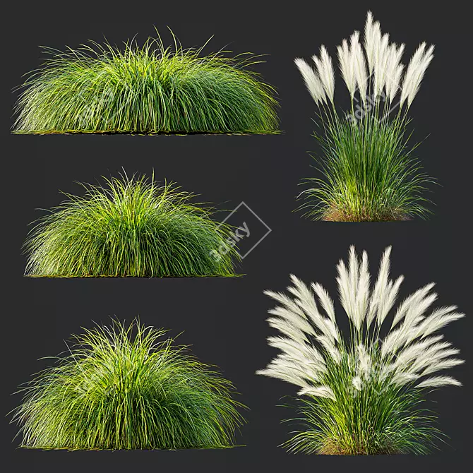 Variety of High-Quality Grass Models 3D model image 1