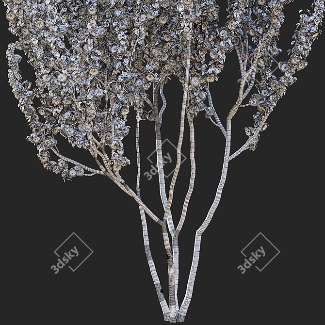 Kanzan Cherry Blossom Multi-Stem 3D model image 14