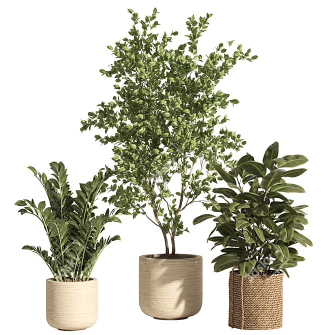 Rattan Stone Indoor Plant Set 3D model image 2