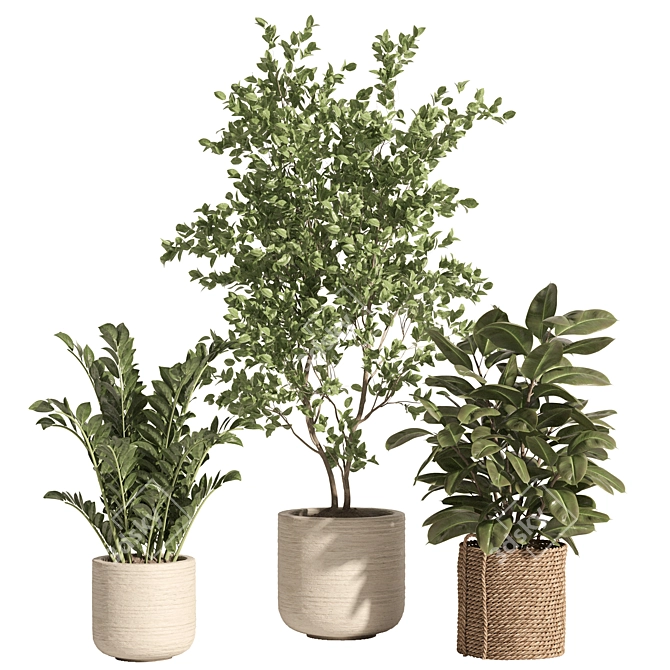 Rattan Stone Indoor Plant Set 3D model image 6