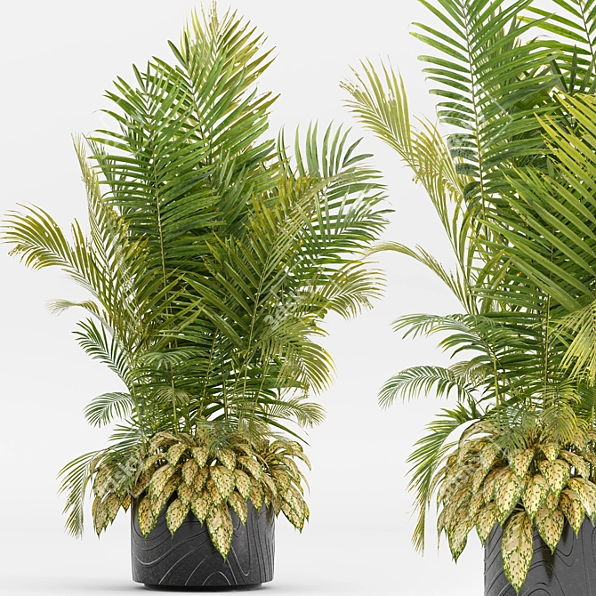 Ceramic Vase Indoor Plant 3D model image 1