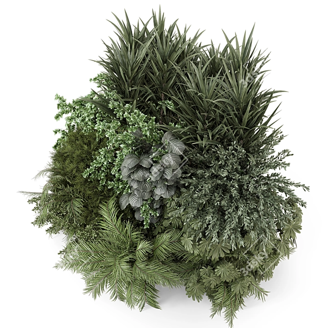 Lush Outdoor Plants Bush Collection 3D model image 2