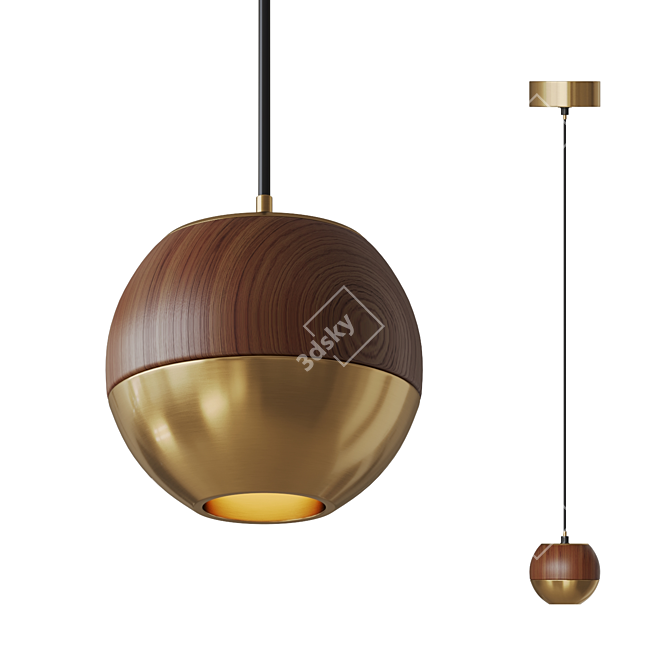 Sphere Metal and Wood Pendant 3D model image 1