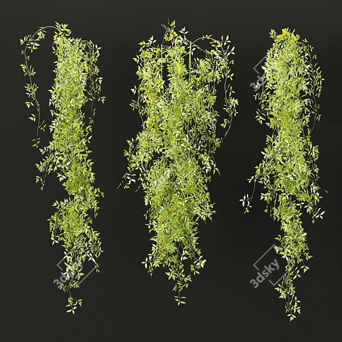  PBR Hanging Plants Collection Vol. 248 3D model image 3