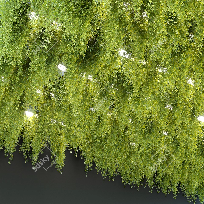  PBR Hanging Plants Collection Vol. 248 3D model image 4