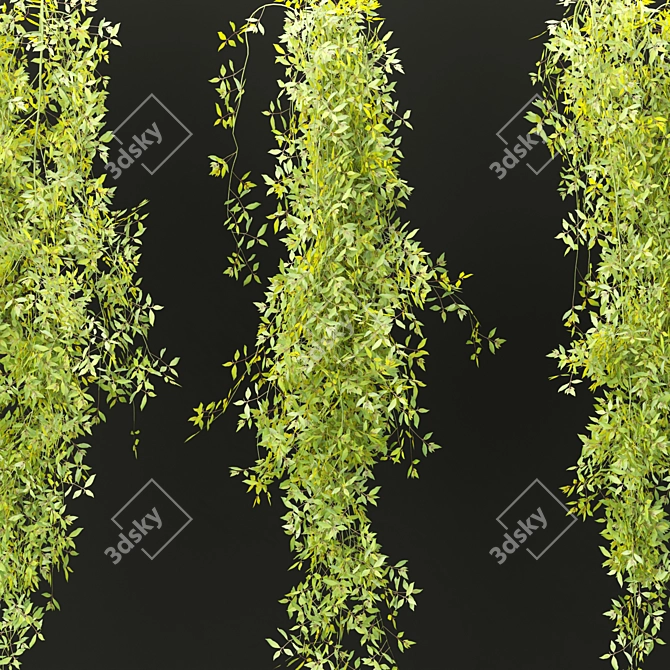  PBR Hanging Plants Collection Vol. 248 3D model image 5