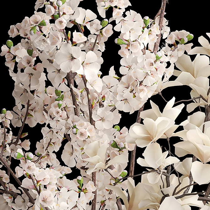 Magnolia Blossom Bouquet Set 3D model image 4