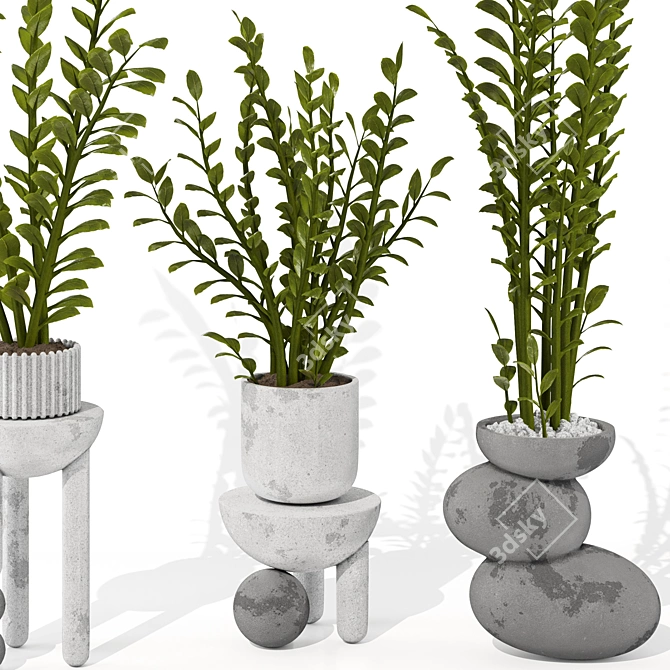 Zamioculcas Zamiifolia Perennial Plant 3D model image 5