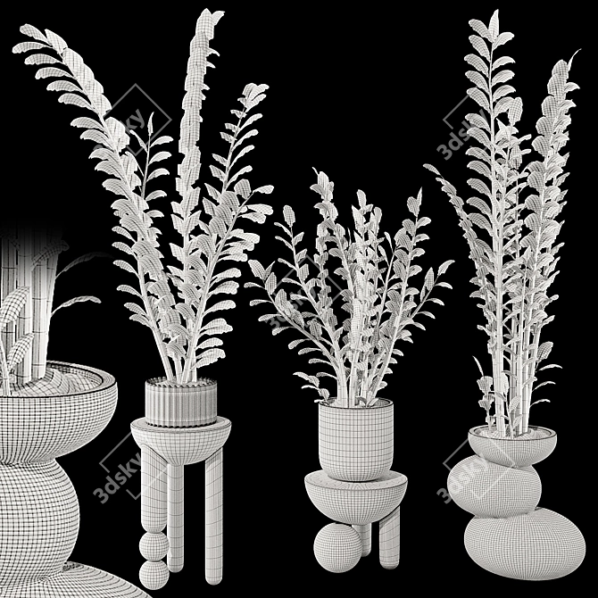 Zamioculcas Zamiifolia Perennial Plant 3D model image 7