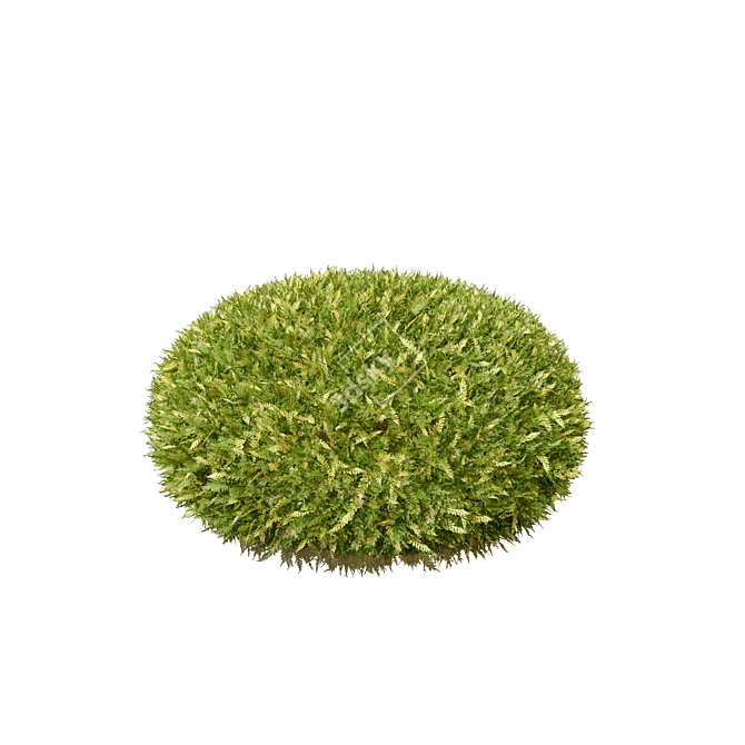 Whimsical Hetz Midget Topiaries 3D model image 4