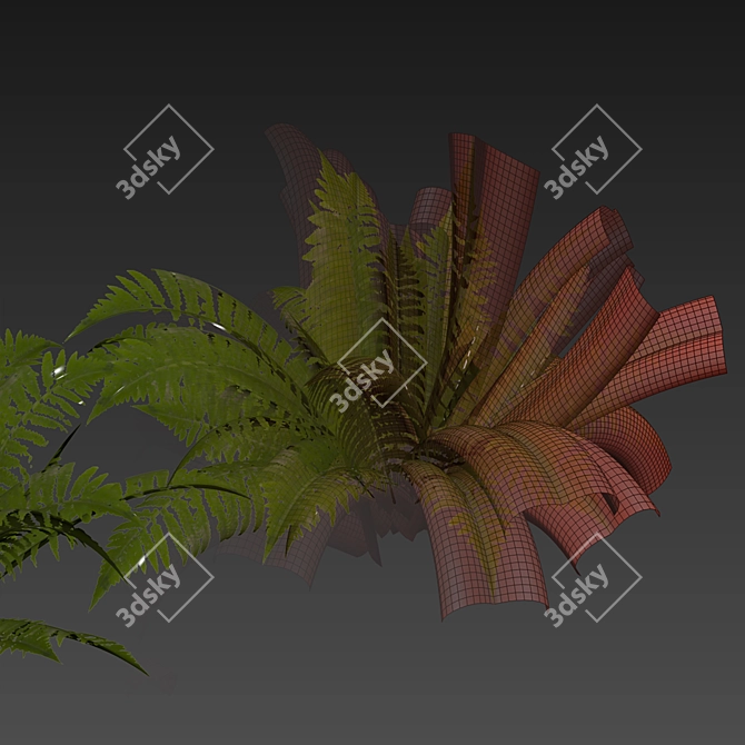 Quality Shrub Lady Fern 3D 3D model image 7