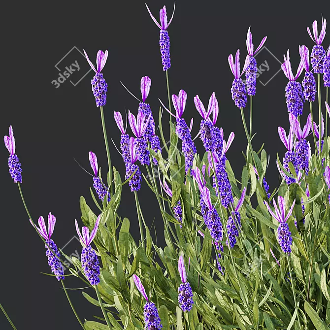  Spring Blossom 3D Models Bundle 3D model image 2