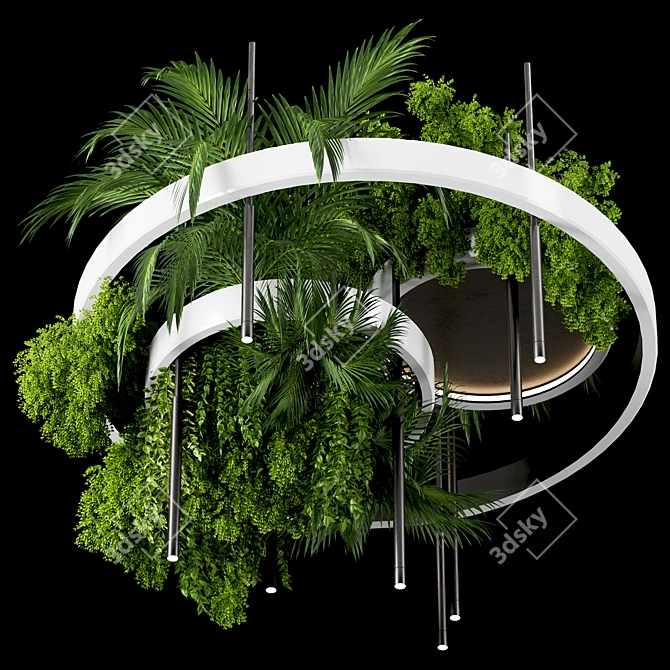 Premium Hanging Indoor Plants Set 3D model image 2