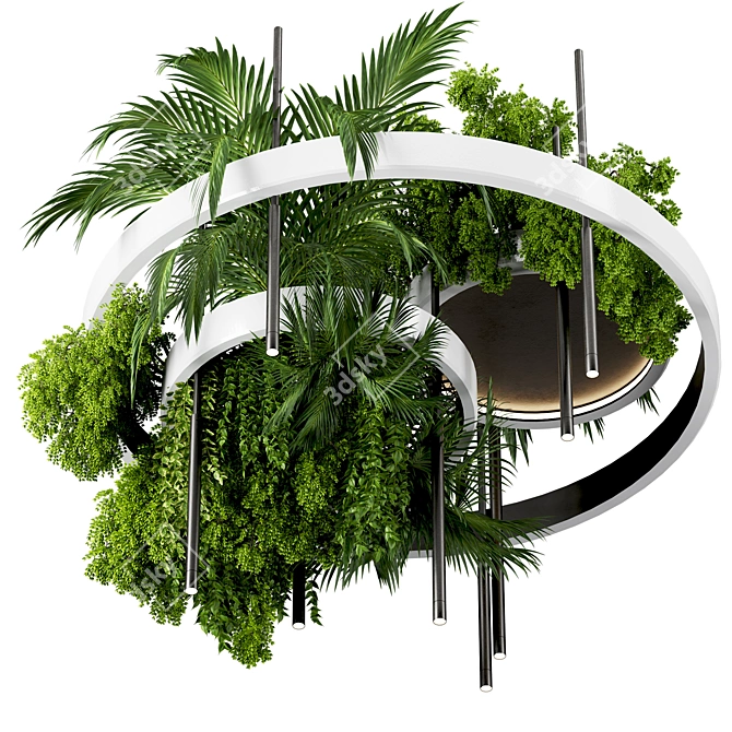 Premium Hanging Indoor Plants Set 3D model image 3