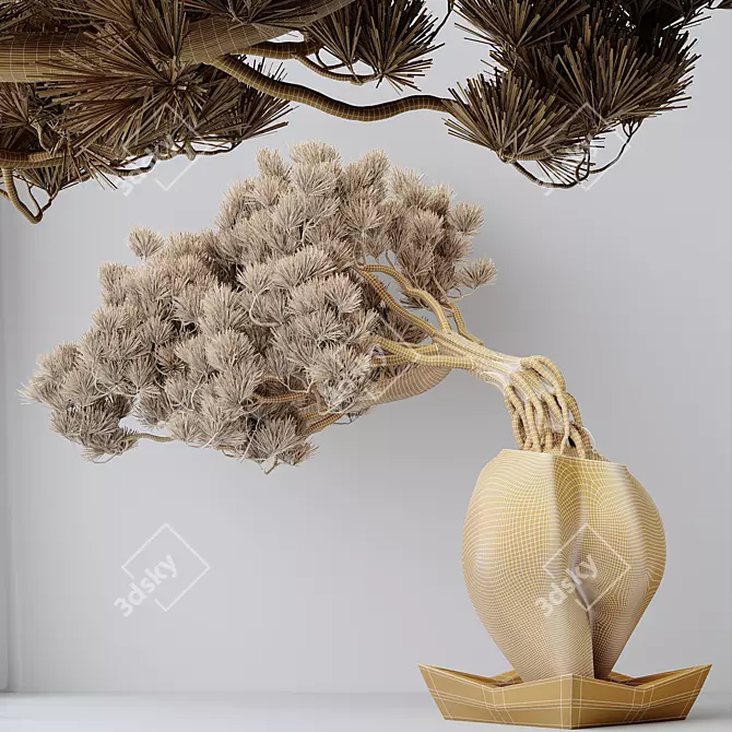 Evergreen Pinus Bonsai Tree 3D model image 4