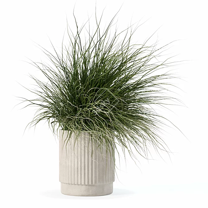 Diverse Grass Plants Collection 3D model image 4