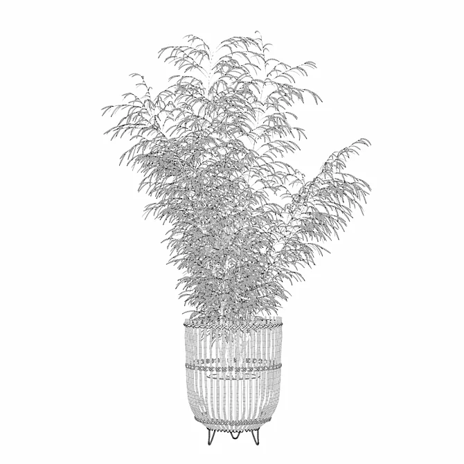 Bamboo Plants Collection 3D Model 3D model image 6