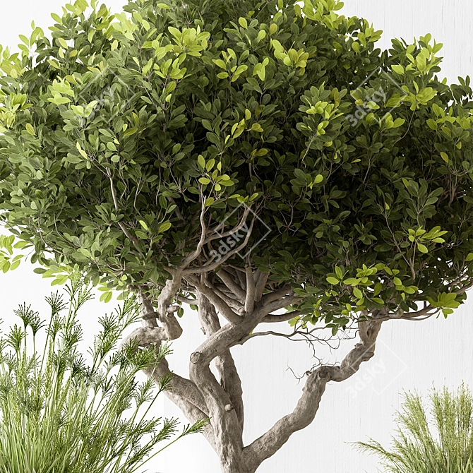 Decorative Tree in Pot 3D model image 2