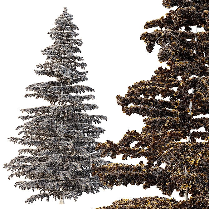 Epic Cedar Tree 3D Model 3D model image 3