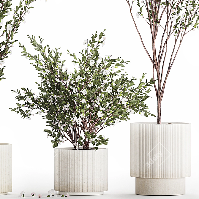 White Blossom Collection Set 3D model image 1