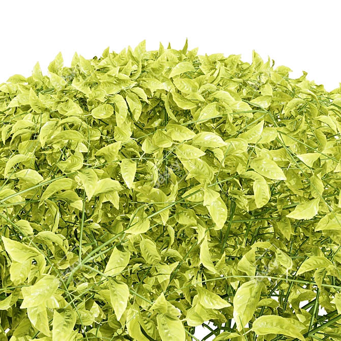 Goldmound Spiraea 3D Foliage Model 3D model image 4