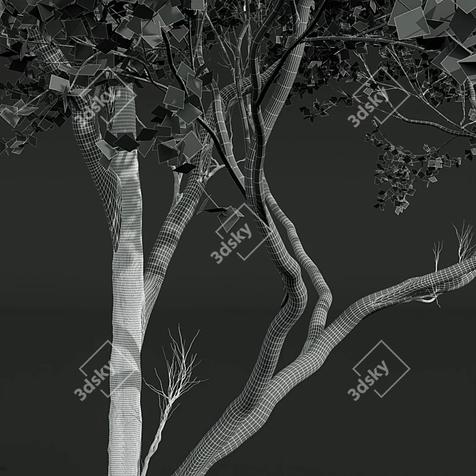 Acer Pseudoplatanus 3D Models Bundle 3D model image 6